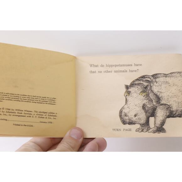 Plenty Of Riddles, Pocketful Of Riddles, Selected, Softcover, Picture Book - Picture 4 of 4